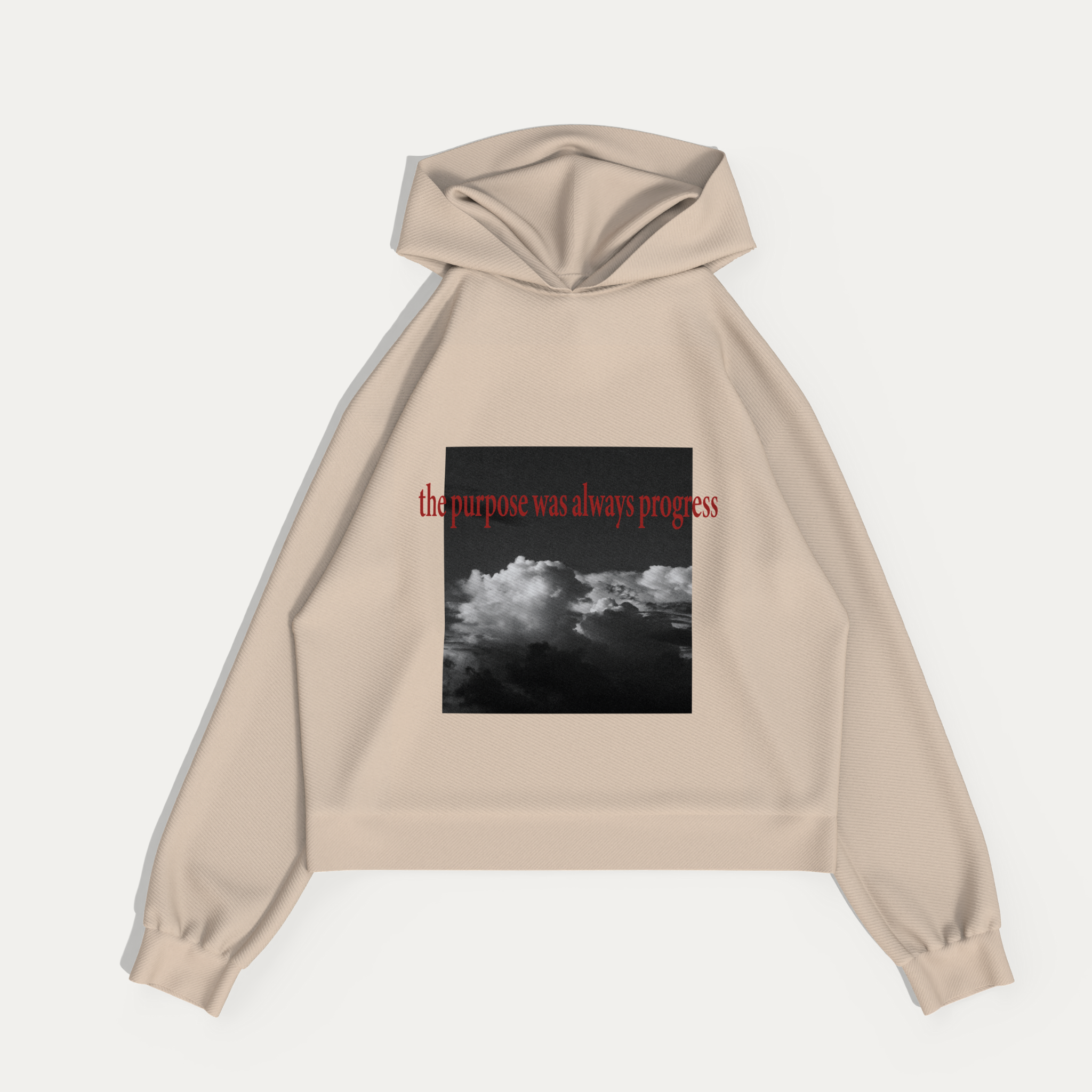 PURPOSE PLATINUM HOODIE